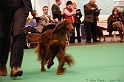 Crufts2011_2 168